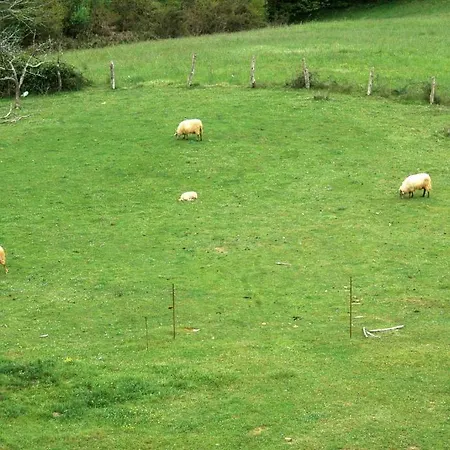 Rural El Texu Szálloda Arriondas