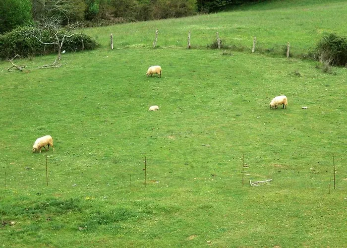 Rural El Texu Hotel Arriondas